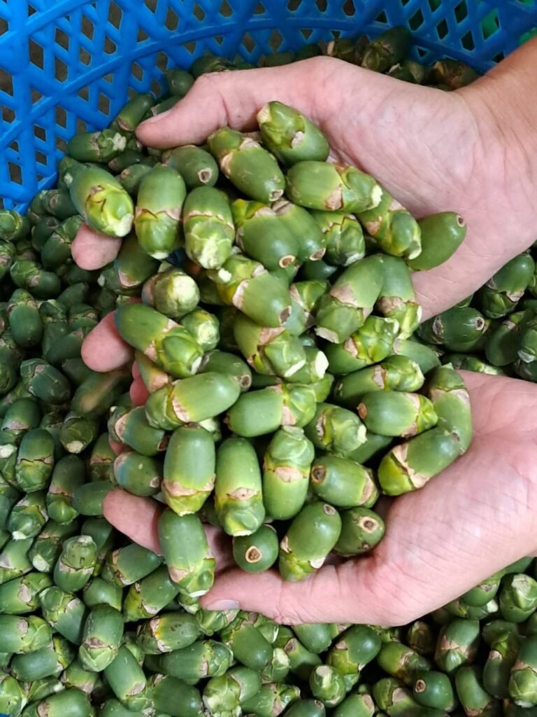 白灰與荖葉怎麼看？檳榔攤進貨與品項搭配的基本觀念